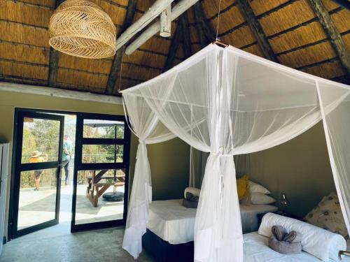 Shametu River Lodge & Campsite