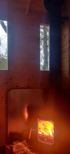 Pike's Cabin in the Woods