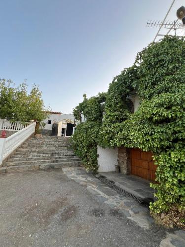 Pensión Xiquena (Pension Xiquena) in Fiñana