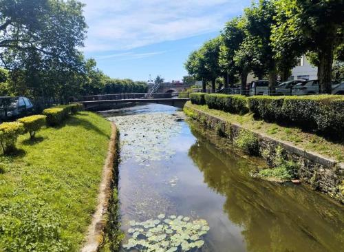 Chic & Contemporain, Vierzon (photo 10)