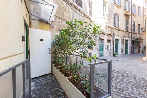Fabiè Trastevere, Roma (foto 3)