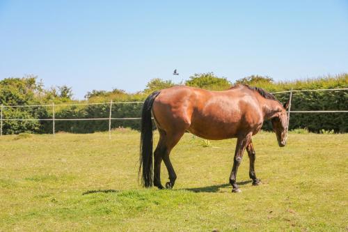 Calvin's Cottage Calvin's Cottage