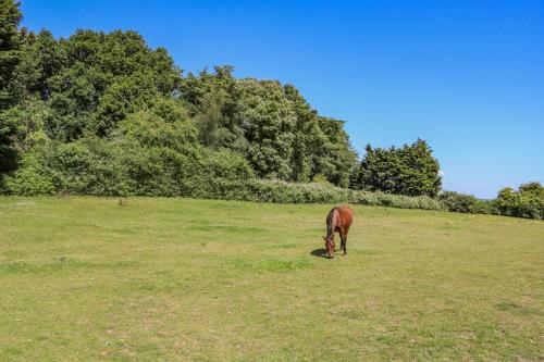 Calvin's Cottage Calvin's Cottage