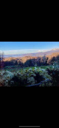 Cascina Brunod