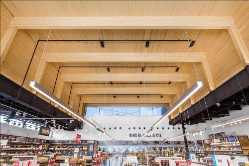 Stylish 1-Bedroom Haven by Jean Talon Market in Rosemont-La Petite-Patrie