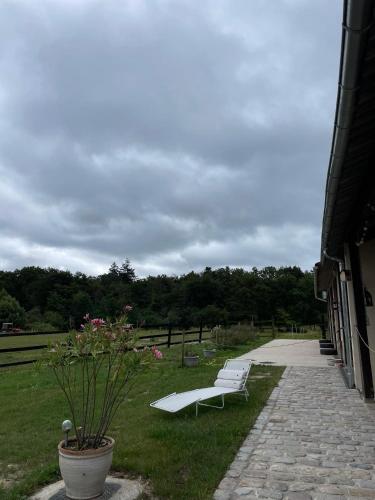 Gîte duo à la campagne Les Grandes Maisons SPA HAMMAM accès avec sup (Gite duo a la campagne Les Grandes Maisons SPA HAMMAM acces avec sup) in Lorris