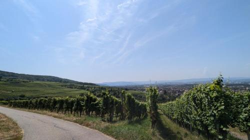 Sport és szabadidő, Komfortwohnung nahe Basel mit Parkplatz in Binzen