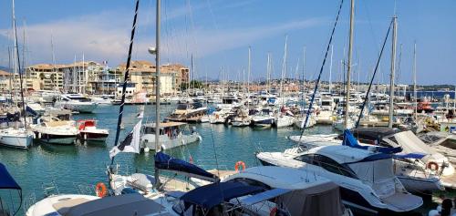 Vue sur Port Frejus pour ce T2-3 Cap Hermes, 6 cou - Location saisonnière - Fréjus