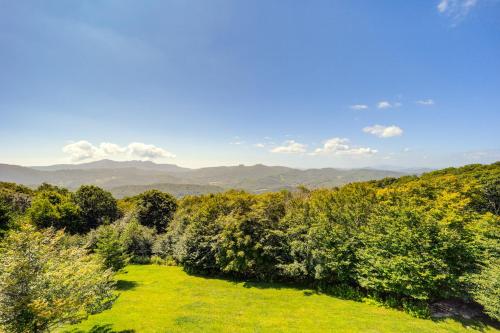 Beech Mountain Condo - Ski, Hike, Fish and More! in Beech Mountain, USA