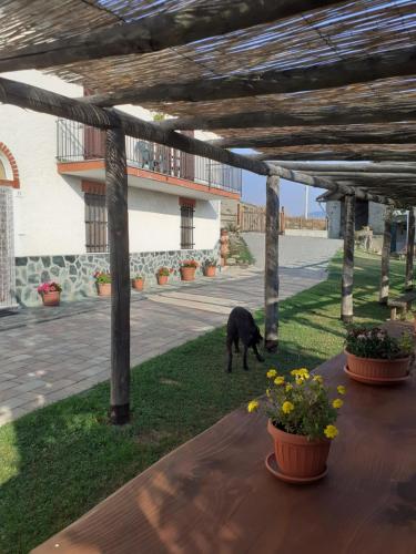 Cascina Merlo Country House 5