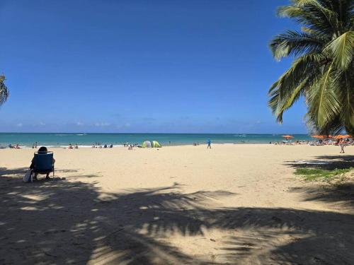 Tropical Chic Beach Paradise - image 13