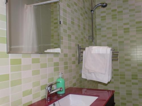 One-Bedroom Apartment (4 Adults) image 2
