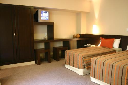 Deluxe Double Room room in Hotel Cordon Del Plata