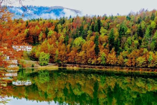 Appartamento - Chalet Baltmann - Lavarone