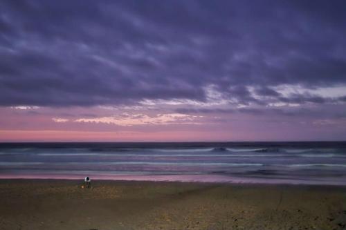 Bunga SMART Bunga SMART