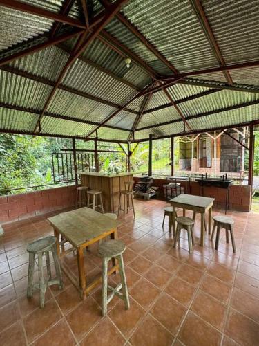 Quinta Herrera in เตอร์เรียลบ้า