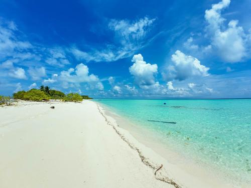 playa, Bambukeyo Villa  in Thaa Atoll