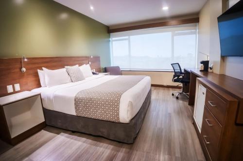 593078532 Wyndham Garden Guayaquil