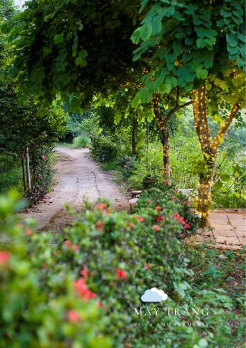 May Trang Villa and FarmStay - 주변 환경