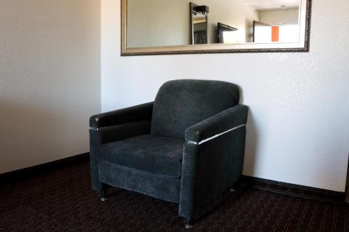Driftwood – Santa Clara, CA