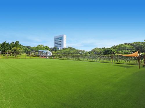 Nanki Shirahama Dog Paradise
