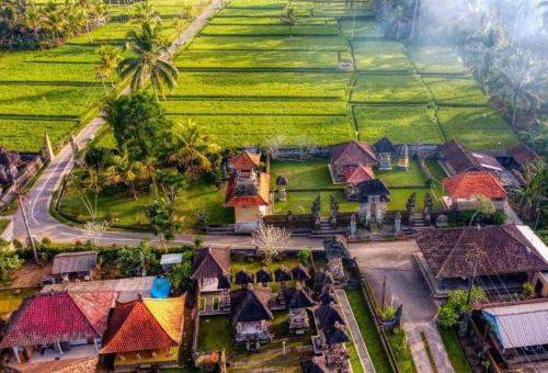 Niki Traditional Village, Bali