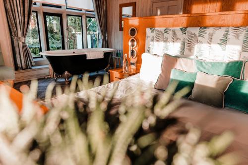 The Maynard The Maynard