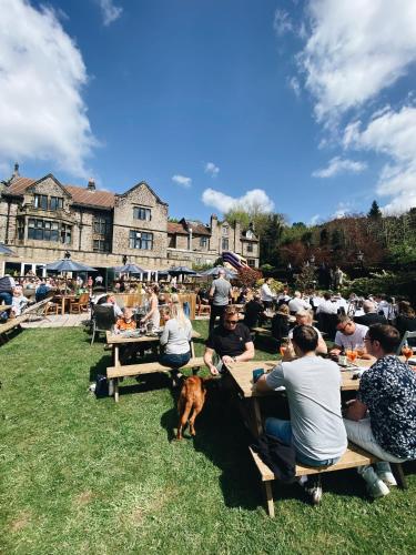 The Maynard The Maynard