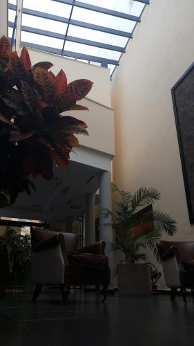 Hotel Los Nardos 5