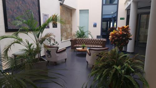 Hotel Los Nardos 5
