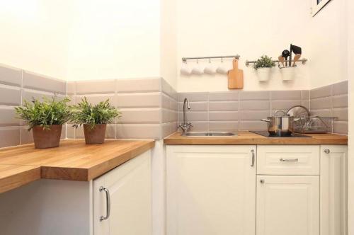 Dimora Frattina near Piazza di Spagna