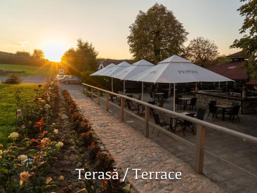 Restorāns, Boutique Hotel Le Baron in Gănești