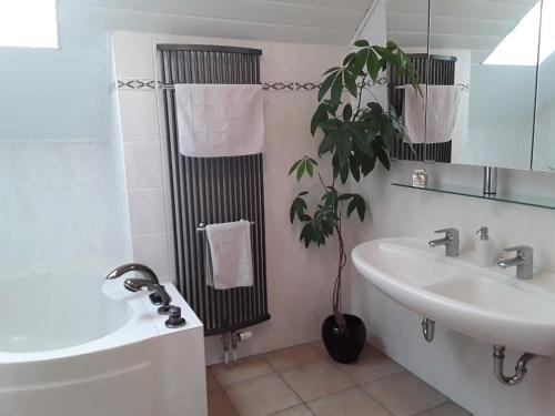 Bathroom, Ferienwohnung Sylvia in Michelstadt