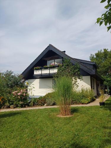 Ferienwohnung Sylvia - Apartment - Michelstadt