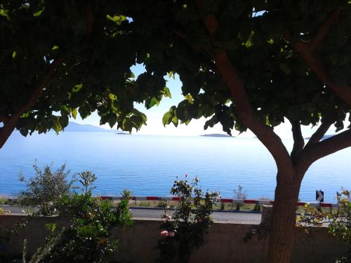 Niriides, Galaxidhion (foto 9)