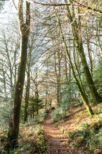 Lancrigg Hotel & Kitchen - image 4