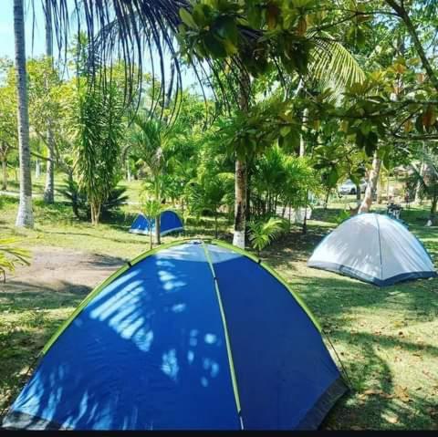 Zion camping in Camacari