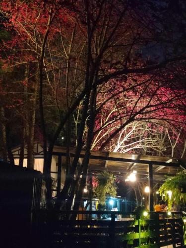 小石小木-金銀湯 小石小木-金銀湯