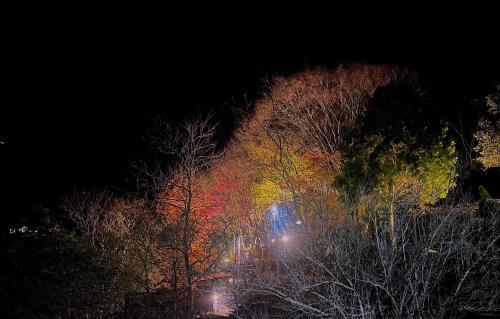 小石小木-金銀湯, Ren'ai (foto 6)
