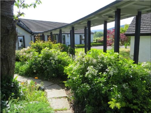 ทัศนียภาพ, Nano Nagle Birthplace in สนามบินคอร์ก