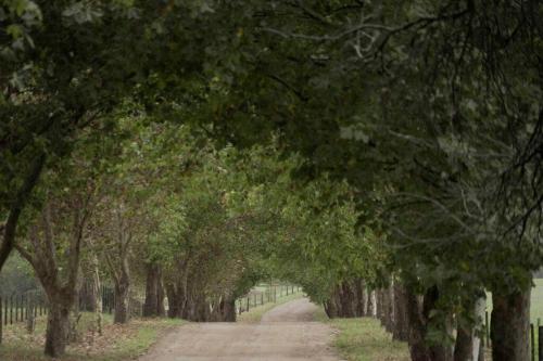Ascochinga, Cordoba, Argentina - Estancia de Polo