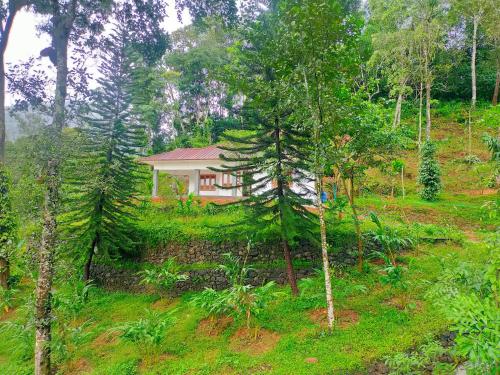 Anivilla Holiday Home Kunjithanny - Munnar