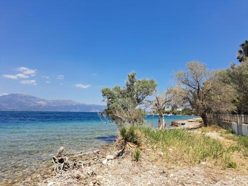 Strand, ATHINA-Georgia in Longos Aegio