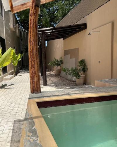 Soul Ahau Cenote 6 in Campeche, Mexico