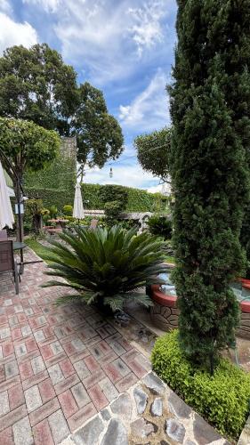 Градина, Hotel Vista San Francisco in Антигуа Гуатемала