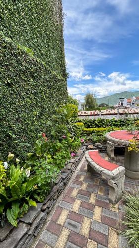 Градина, Hotel Vista San Francisco in Антигуа Гуатемала