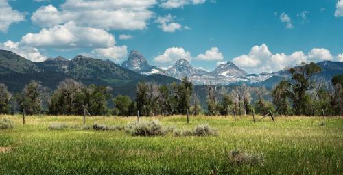 Rancheros Loop Rental With Teton Views in Tetonia, USA
