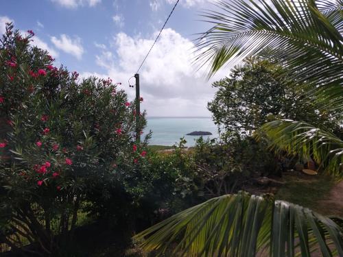 منظر, Oceanview Studio Allée Tamarin (Oceanview Studio Allee Tamarin) in Oyster Bay