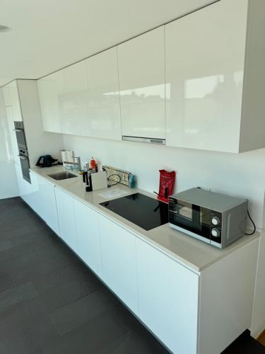 Exclusive Rooftop Duplex Penthouse - 200sqm - 280 Panoramic Views - Downtown, Basel (Foto 7)