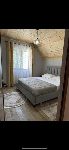 Bujtina Kometa in Velipoje